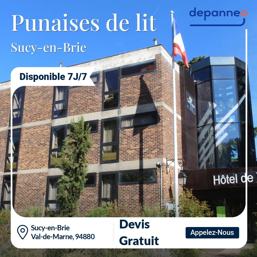 punaise de lit Sucy-en-Brie