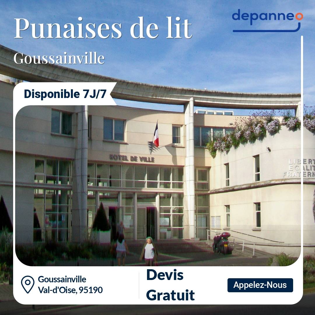 punaise de lit Goussainville