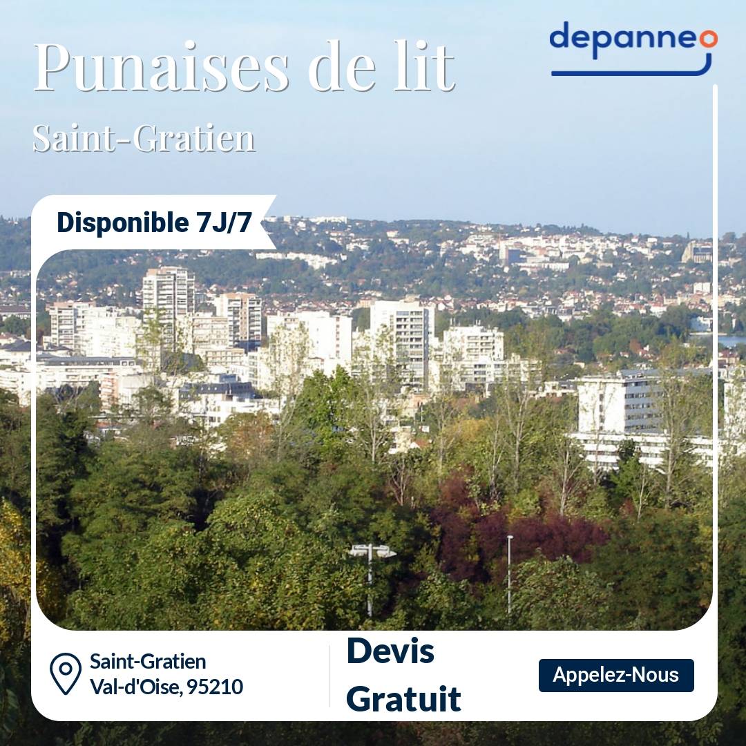 punaise de lit Saint-Gratien