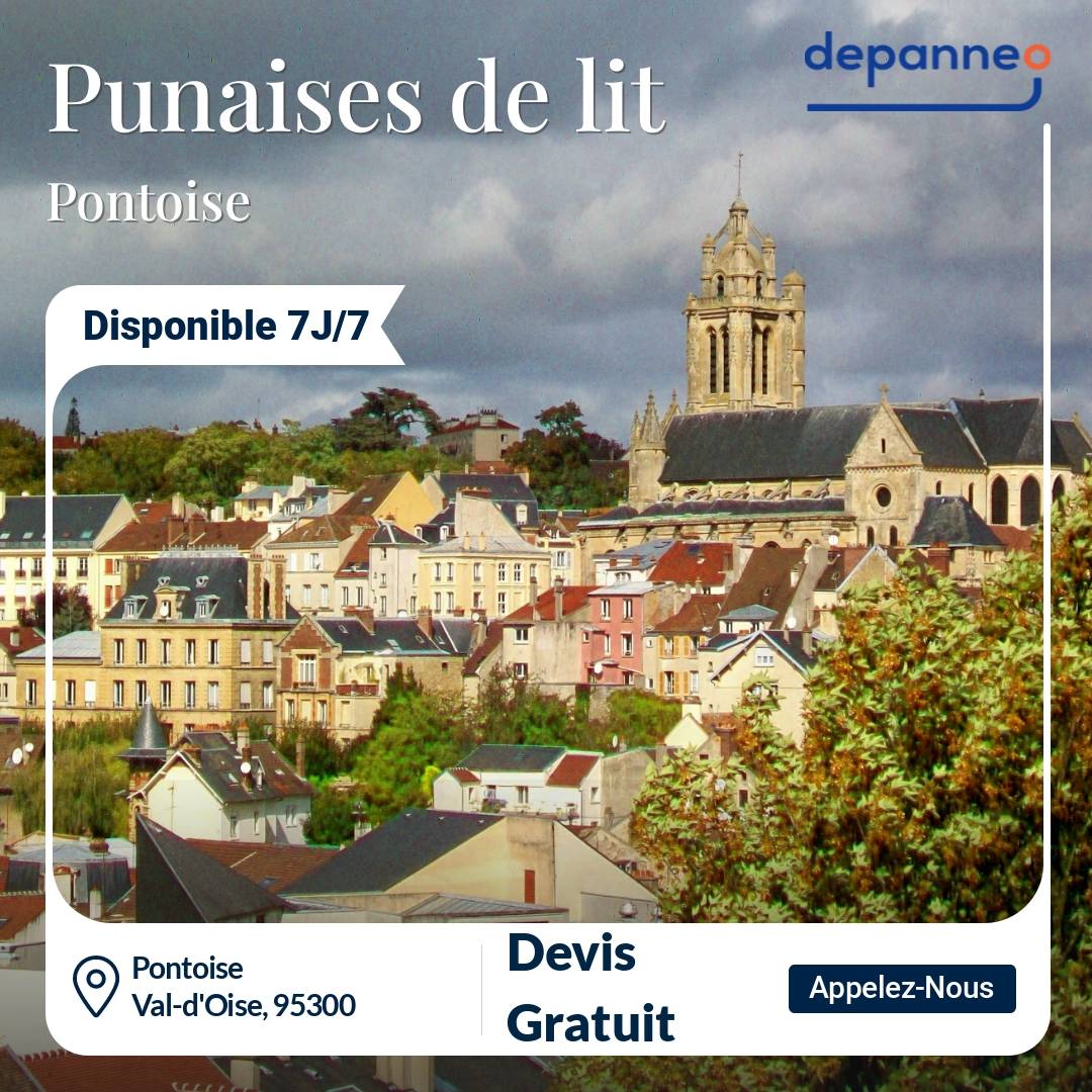 punaise de lit Pontoise