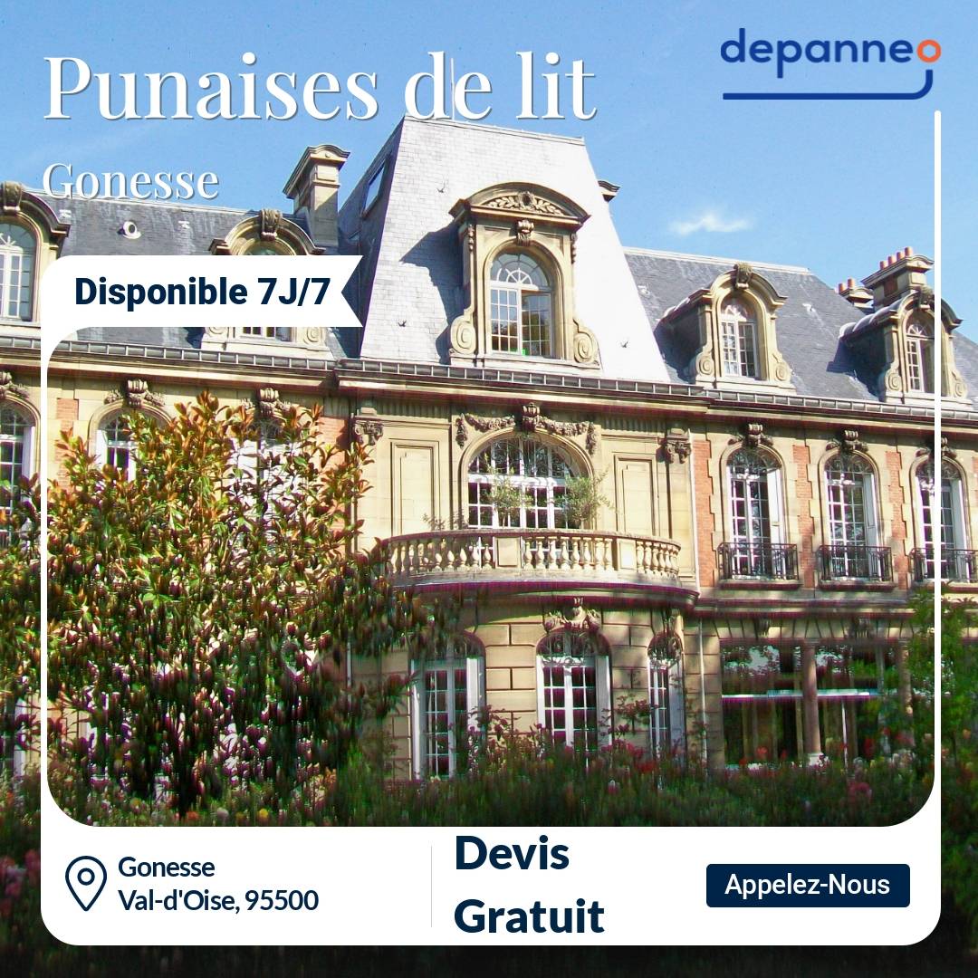 punaise de lit Gonesse